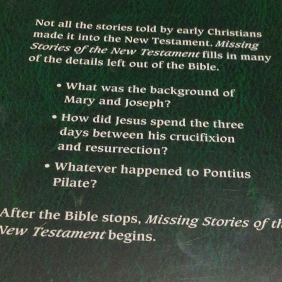 Missing Bible Stories Bundle - New Testament and Old Testament stories - Picture 7 of 10